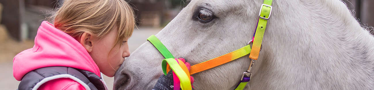 Reiten Lernen So Gelingt Der Einstieg Fur Kinder Raiffeisenmarkt De