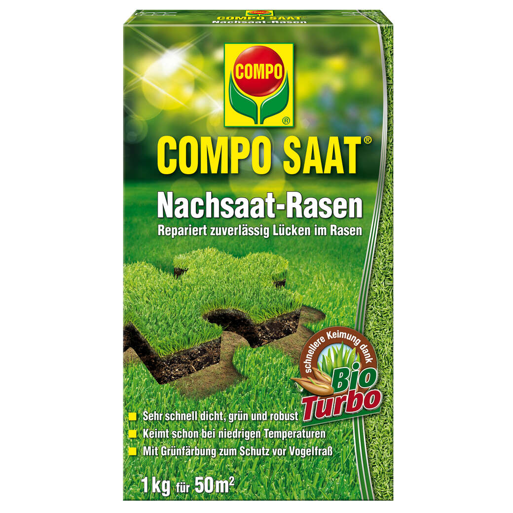 COMPO Nachsaat-Rasen grün und dicht