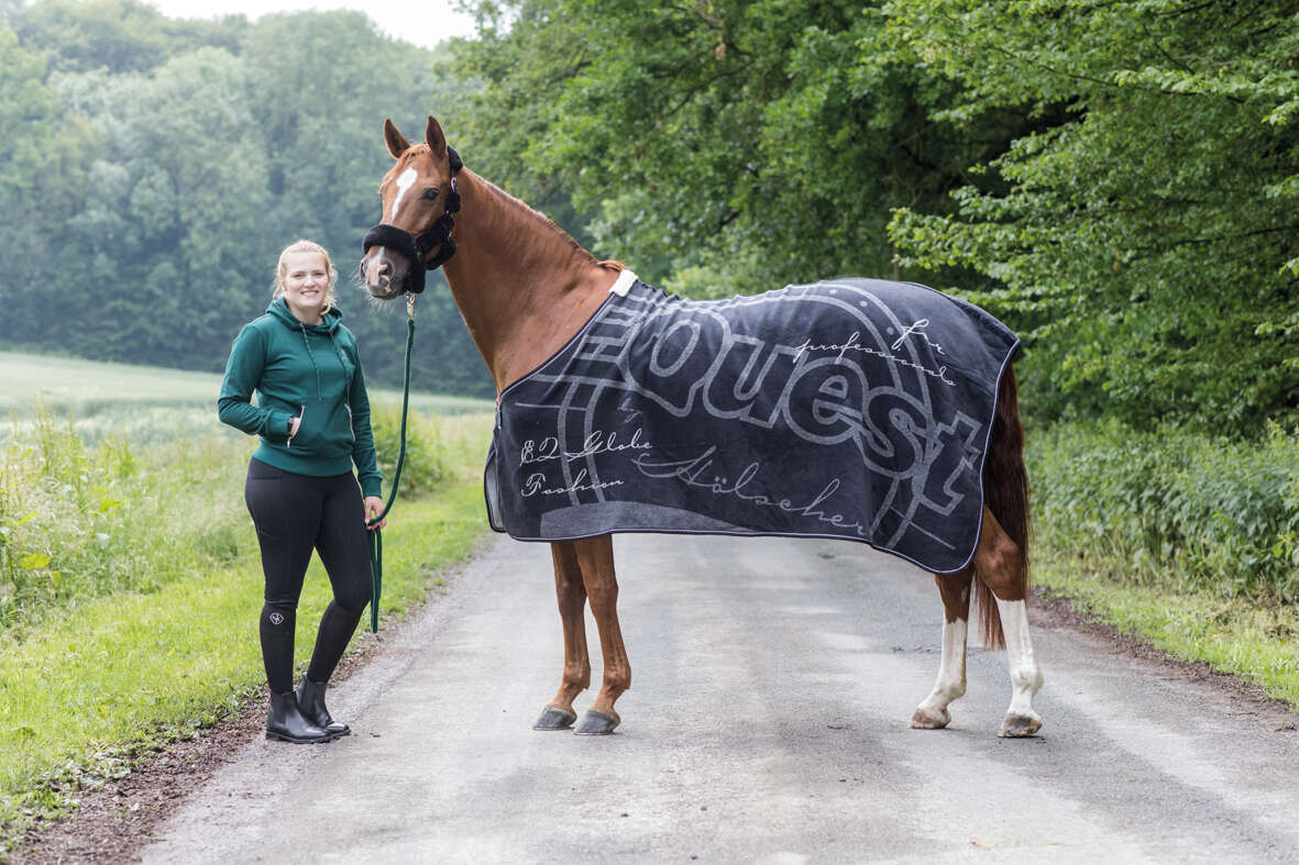 EQuest Abschwitzdecke DRALON Promotion