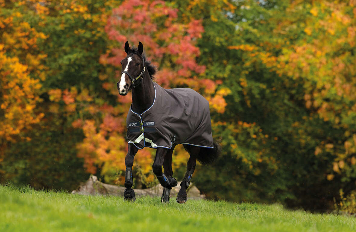 Horseware AMIGO Outdoordecke Bravo 12 100 g