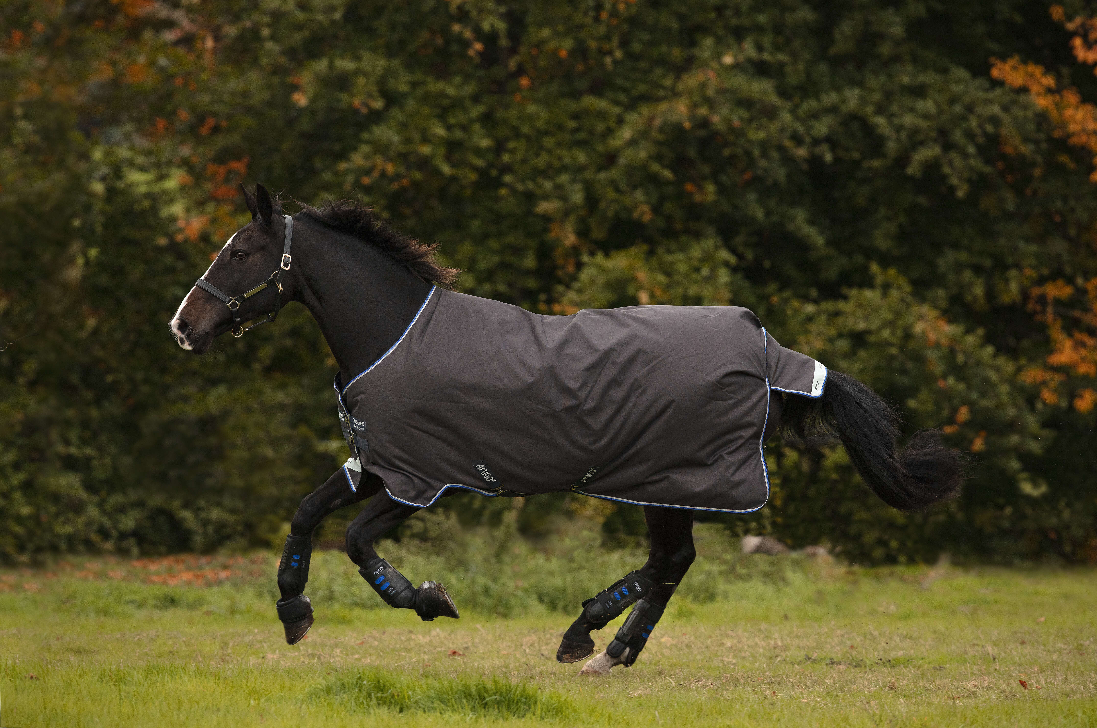 Horseware AMIGO Outdoordecke Bravo 12 100 g