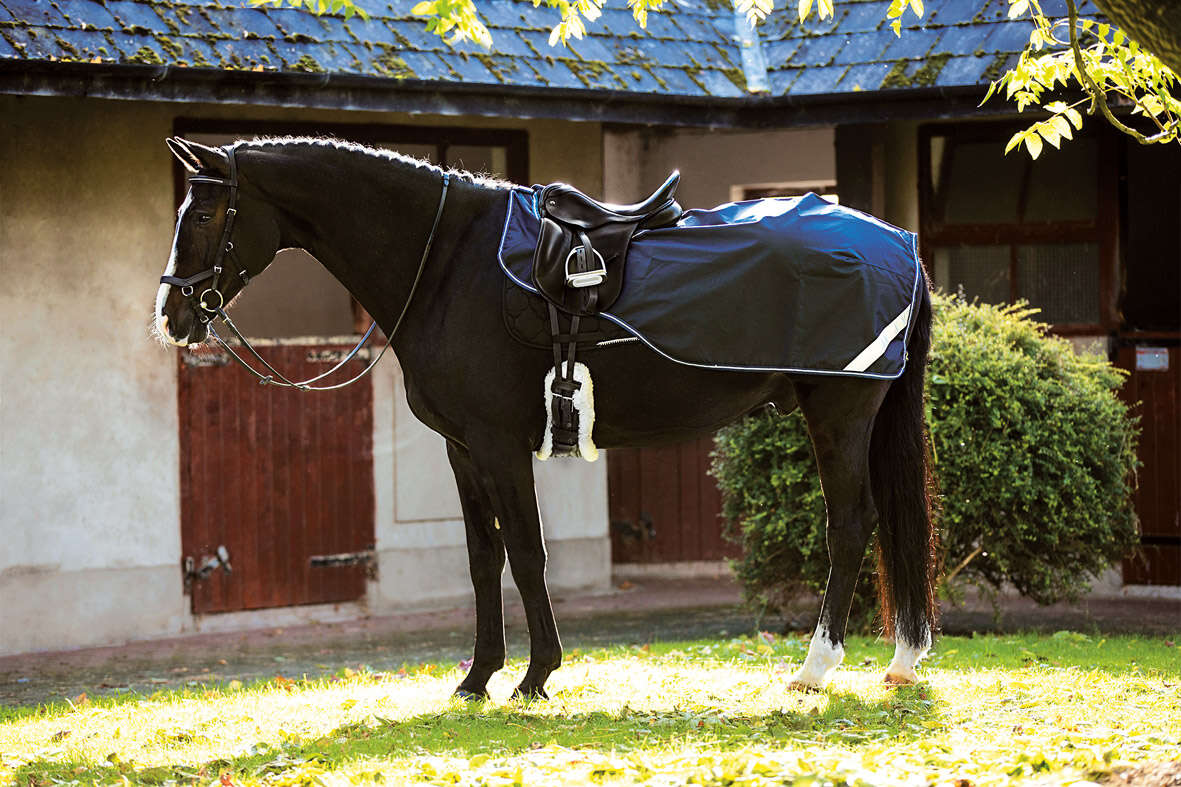 AMIGO Nierenausreitdecke Competition Sheet
