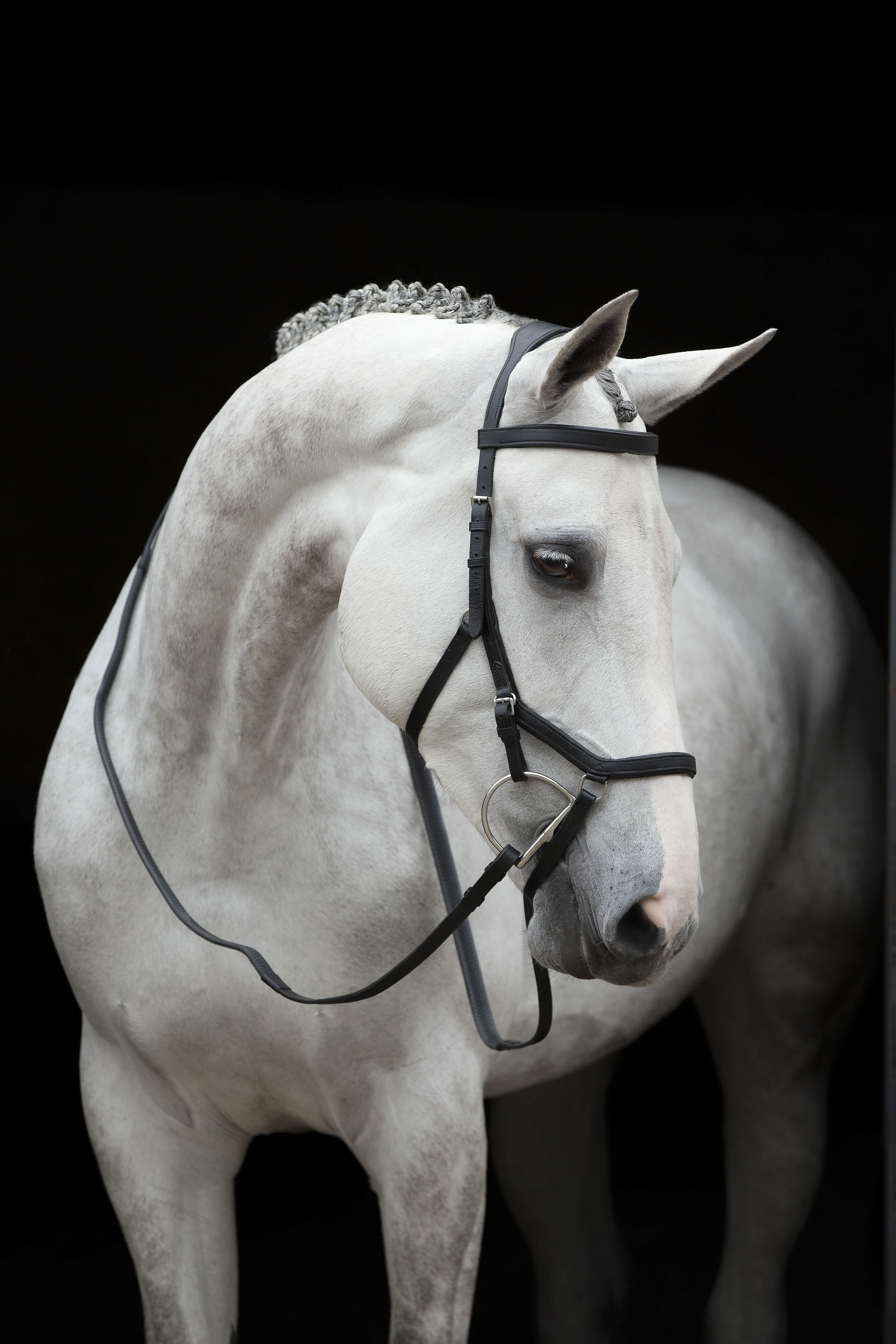 Horseware RAMBO Micklem Compet. Bridle, black