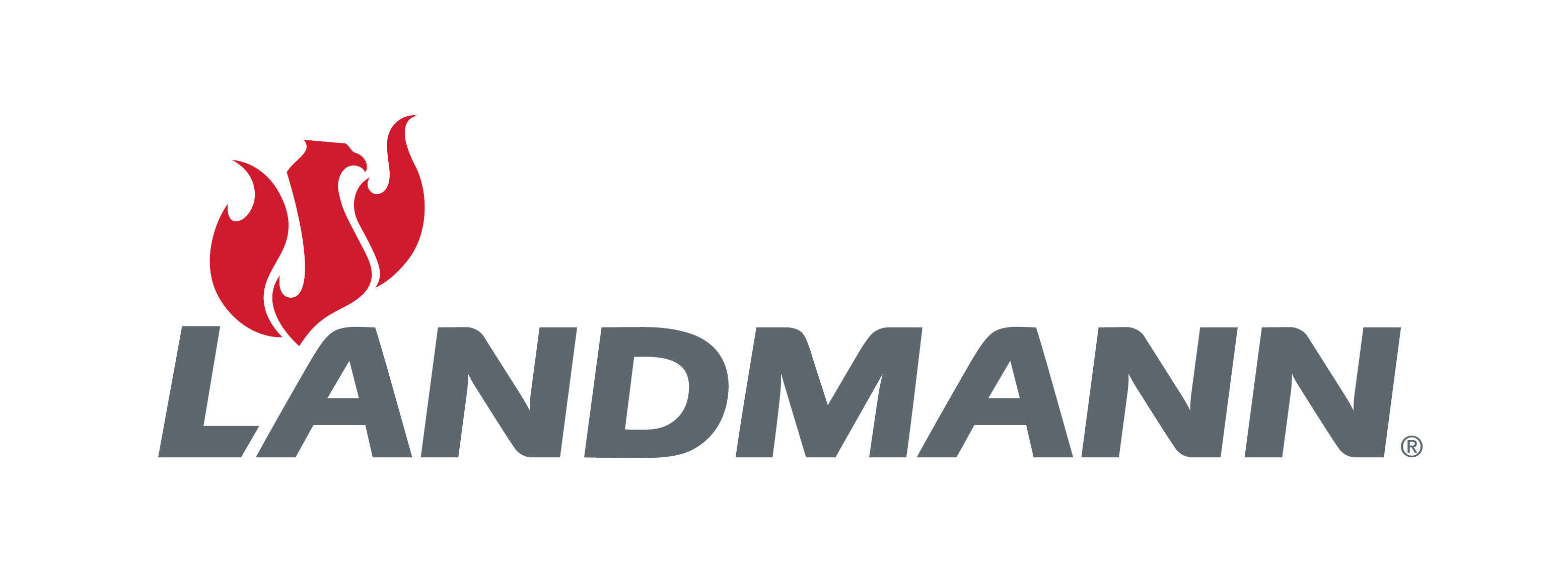 LANDMANN