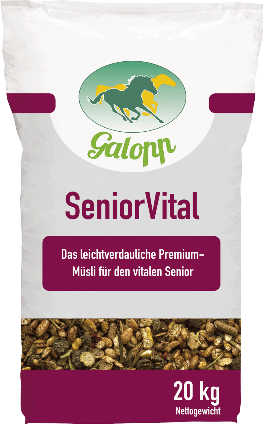 Galopp SeniorVital
