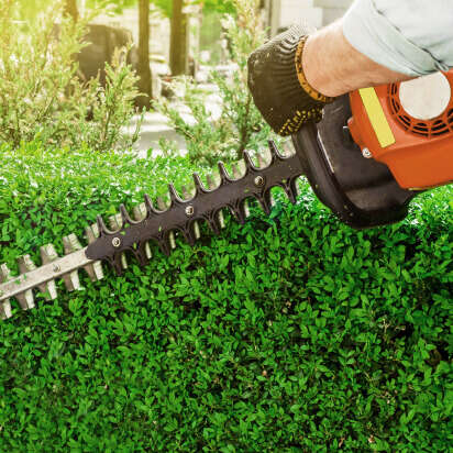 Nahaufnahme eines Mannes, der mit einer elektrischen Heckenschere eine grüne Hecke schneidet.