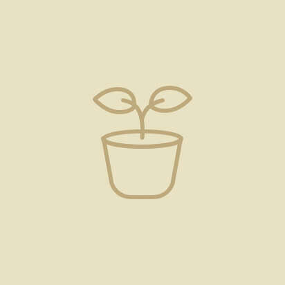 anzucht icon