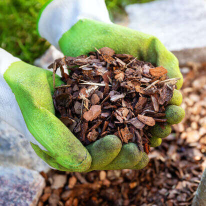 rindenmulch bubblenavibild