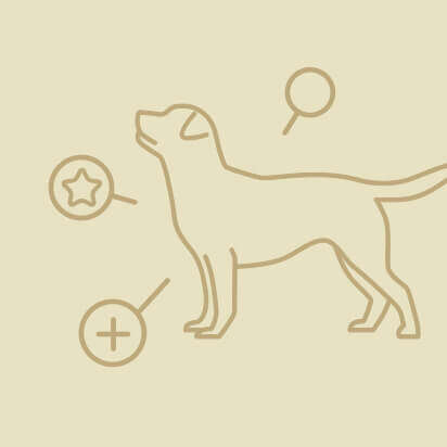 hundezubehoer icon