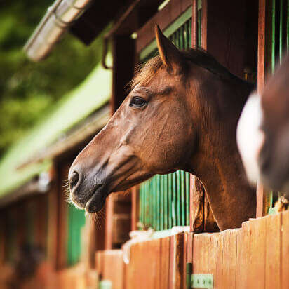stallbedarf bubblenavibild