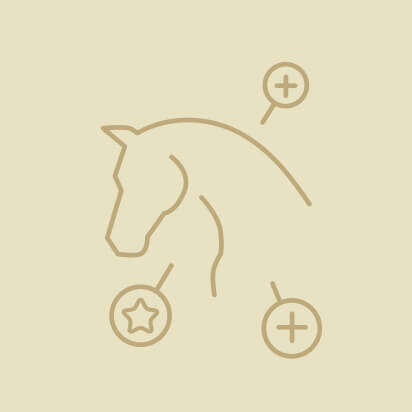 pferdezubehoer icon