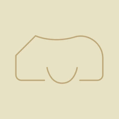 pferdedecke icon
