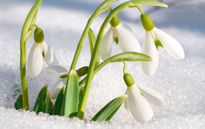 Garten winterfest machen - Vorbereitung auf den Winter