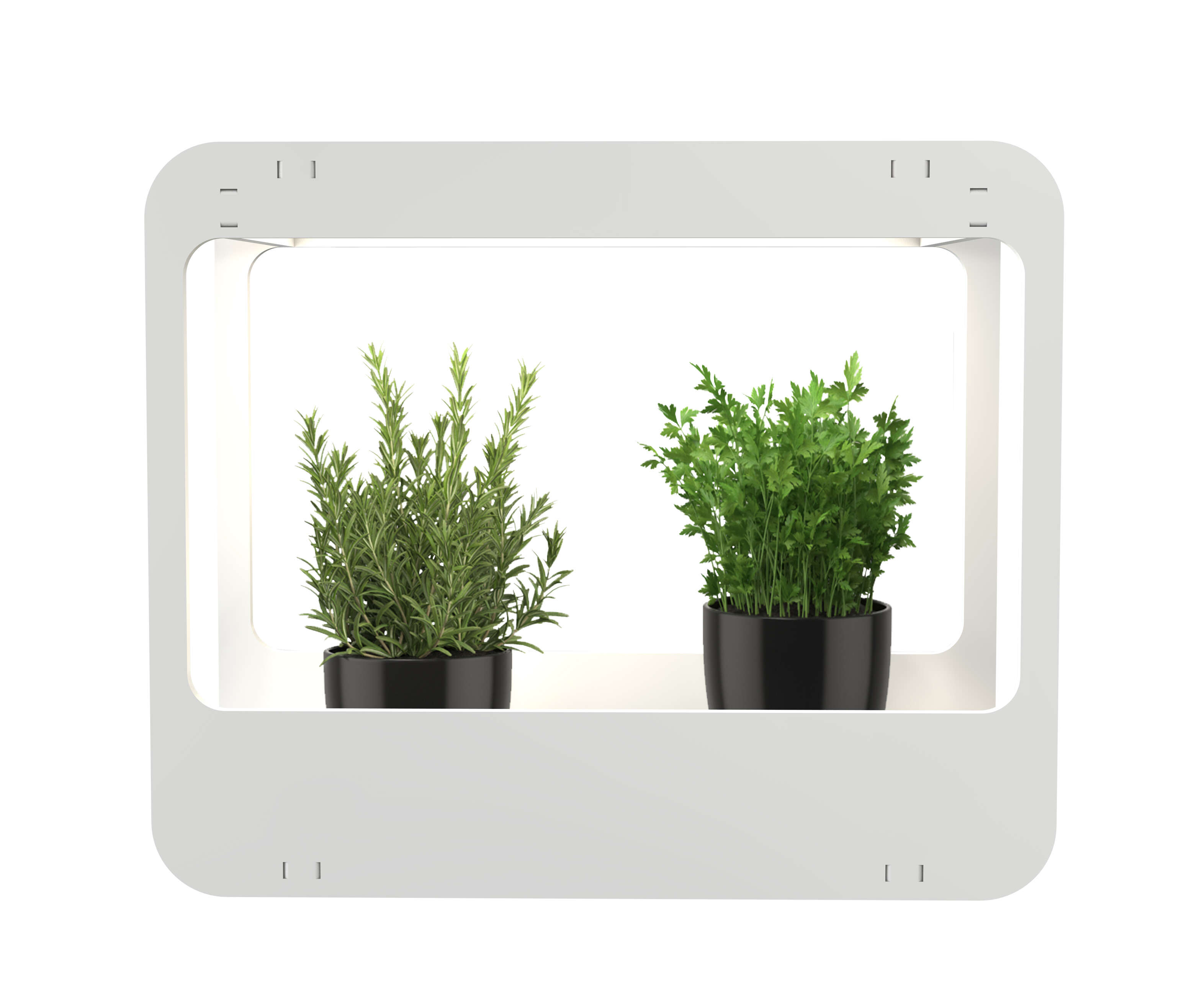 romberg Mini-Garten mit LED-Beleuchtung