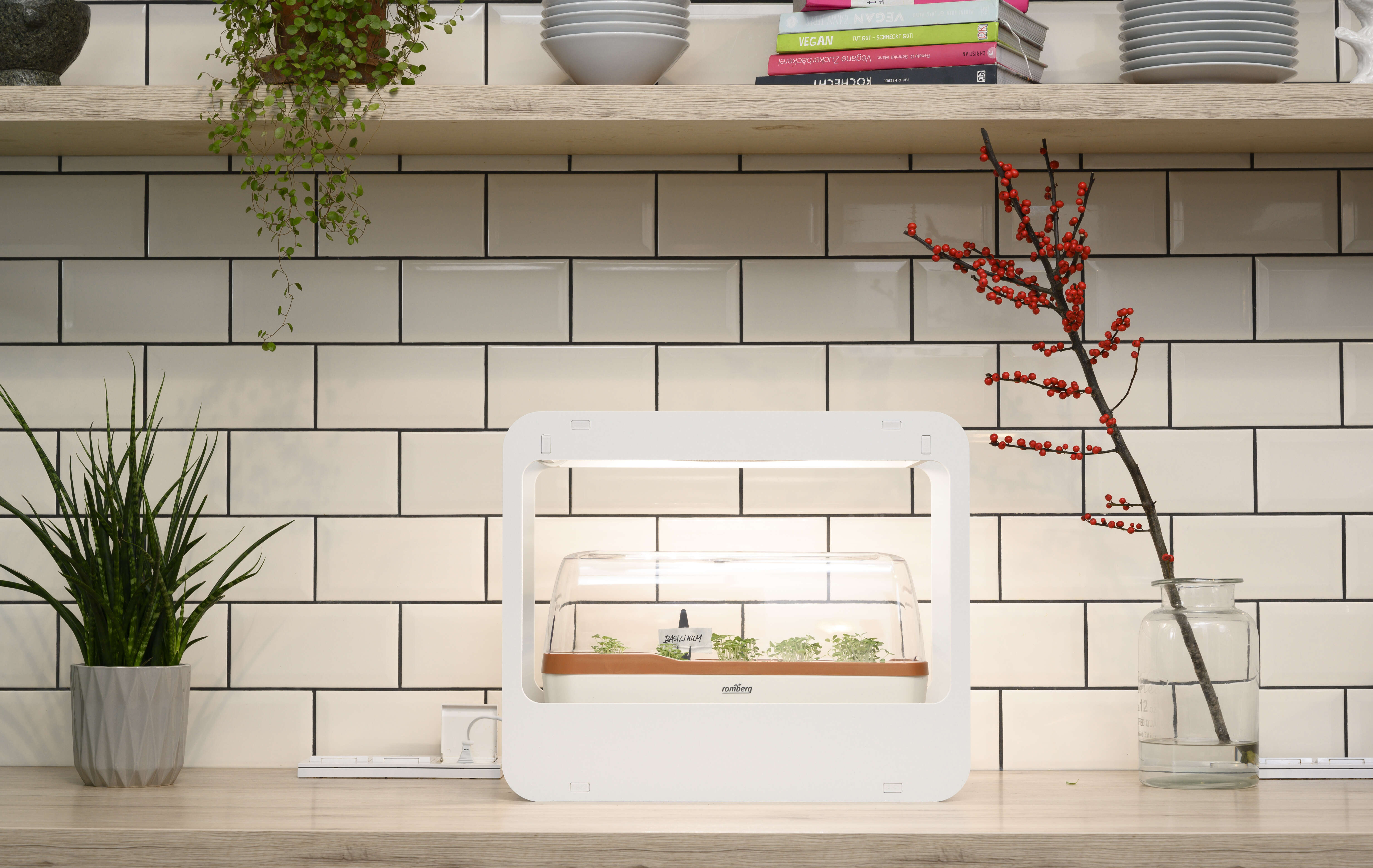 romberg Mini-Garten mit LED-Beleuchtung