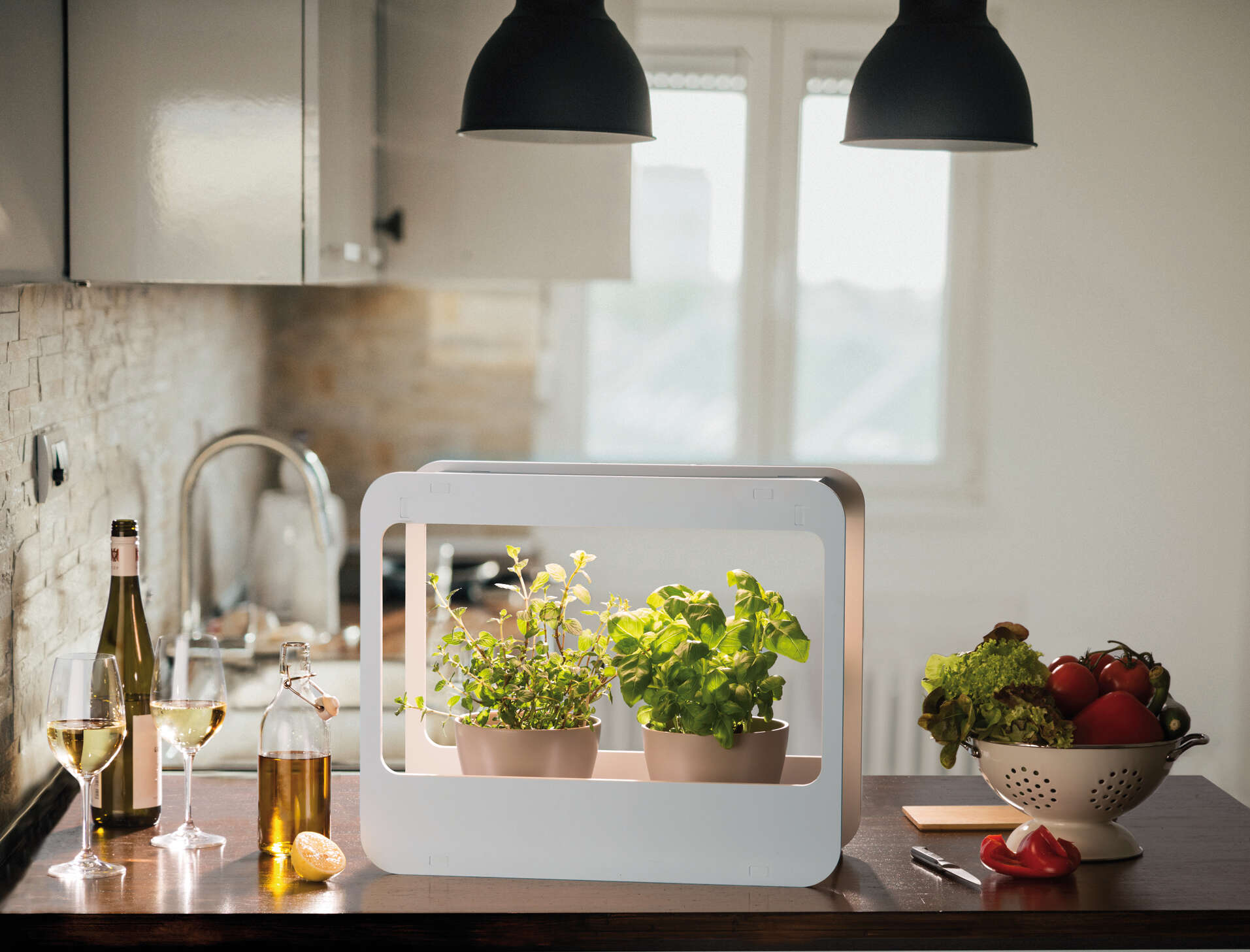 romberg Mini-Garten mit LED-Beleuchtung