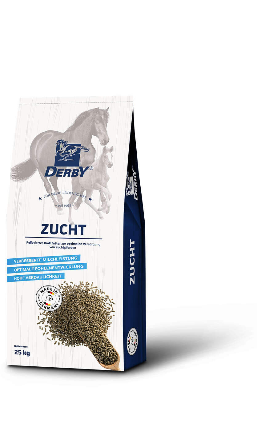 DERBY Zucht