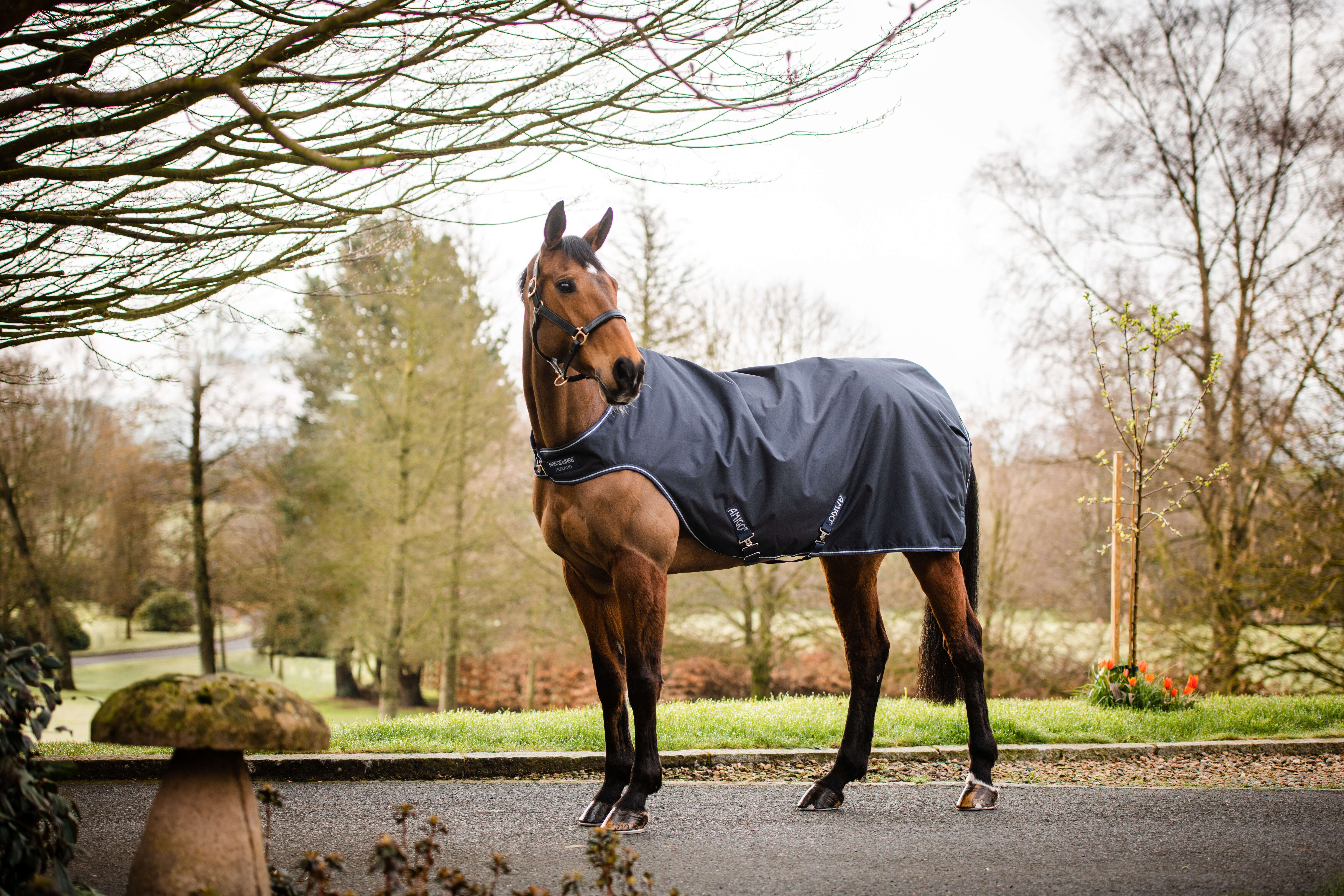 Horseware AMIGO Führmaschinendecke Walker