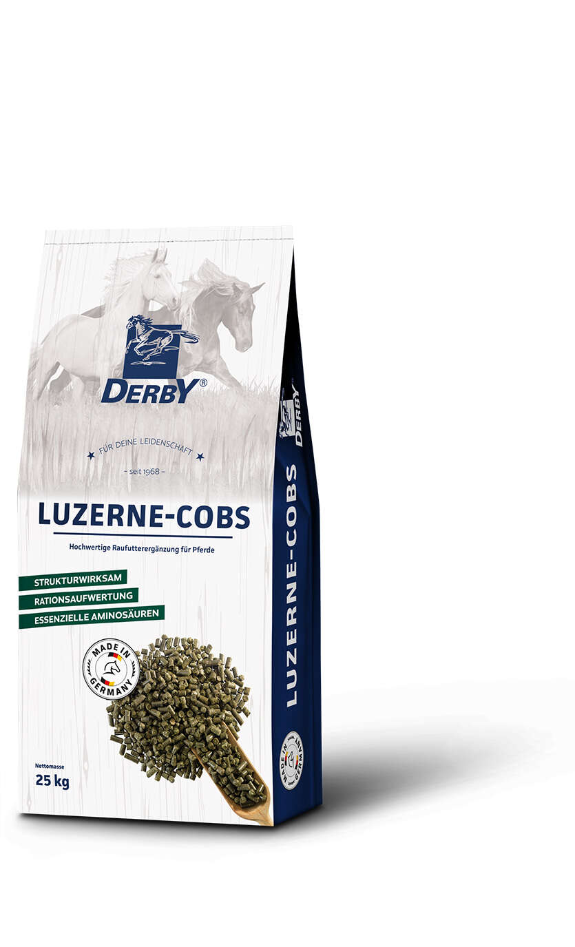 DERBY Luzerne-Cobs