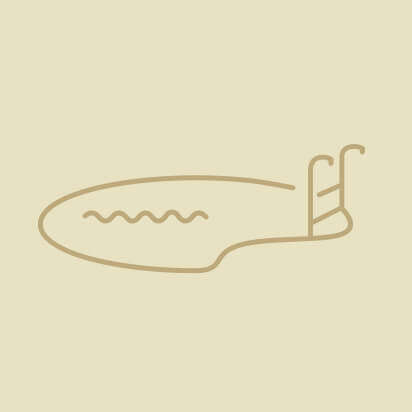 pool icon