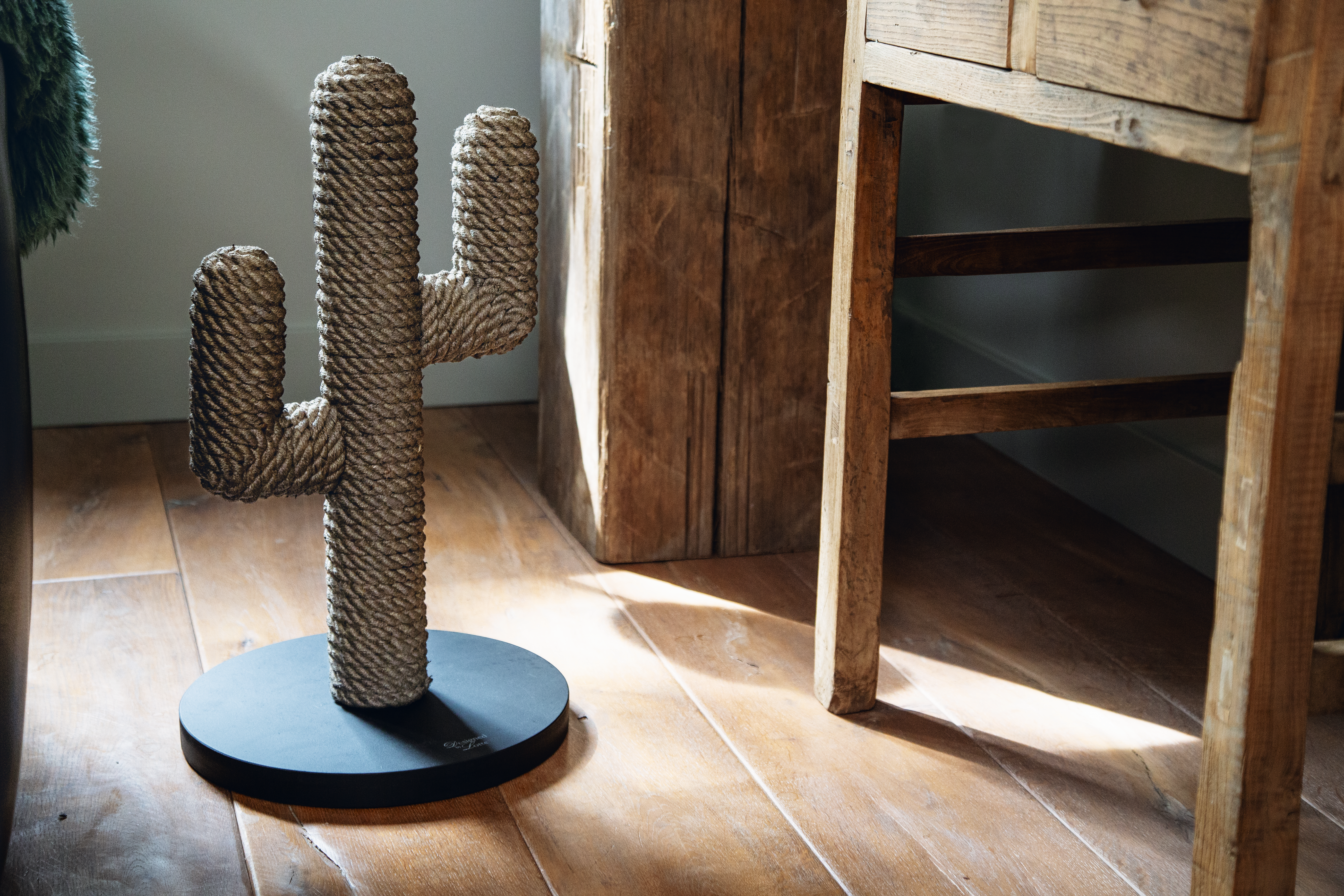 Designed by Lotte Holz-Kratzbaum Kaktus | raiffeisenmarkt.de