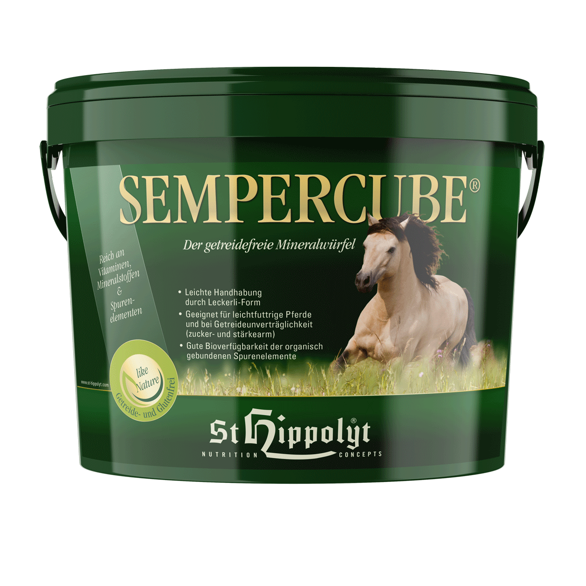 St. Hippolyt Sempercube