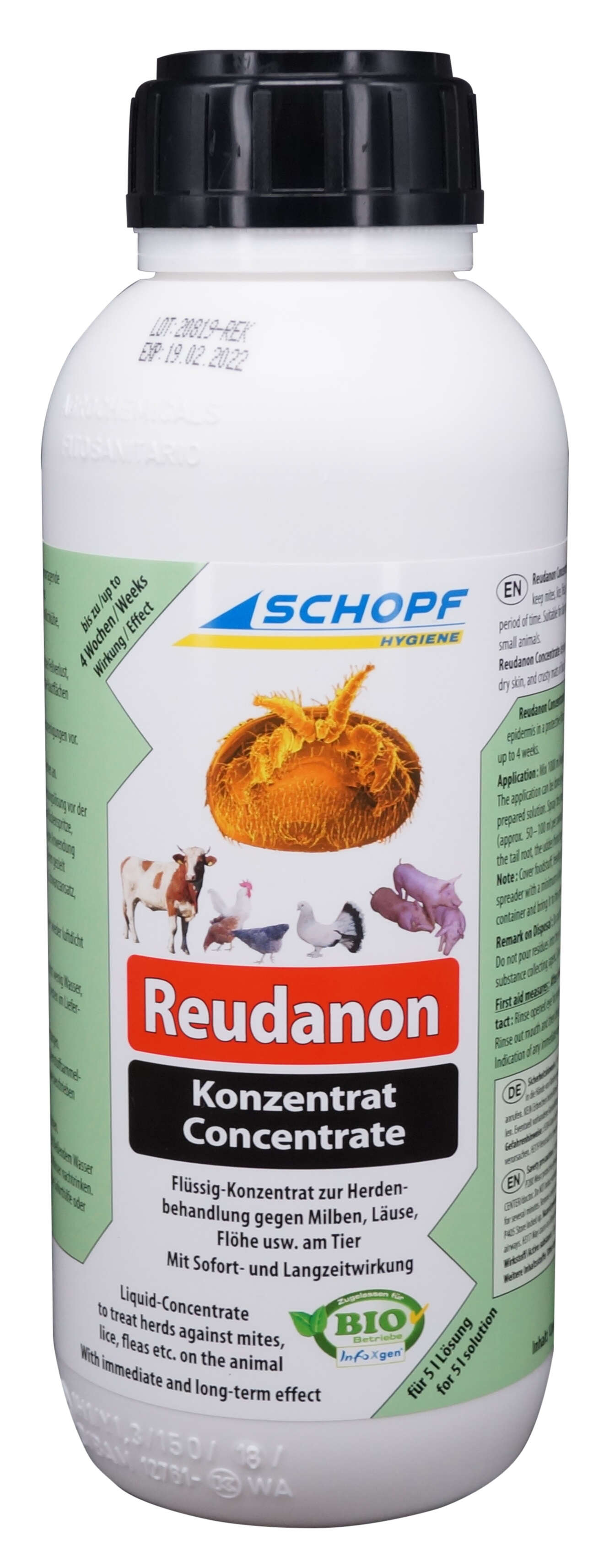 SCHOPF HYGIENE Reudanon Konzentrat
