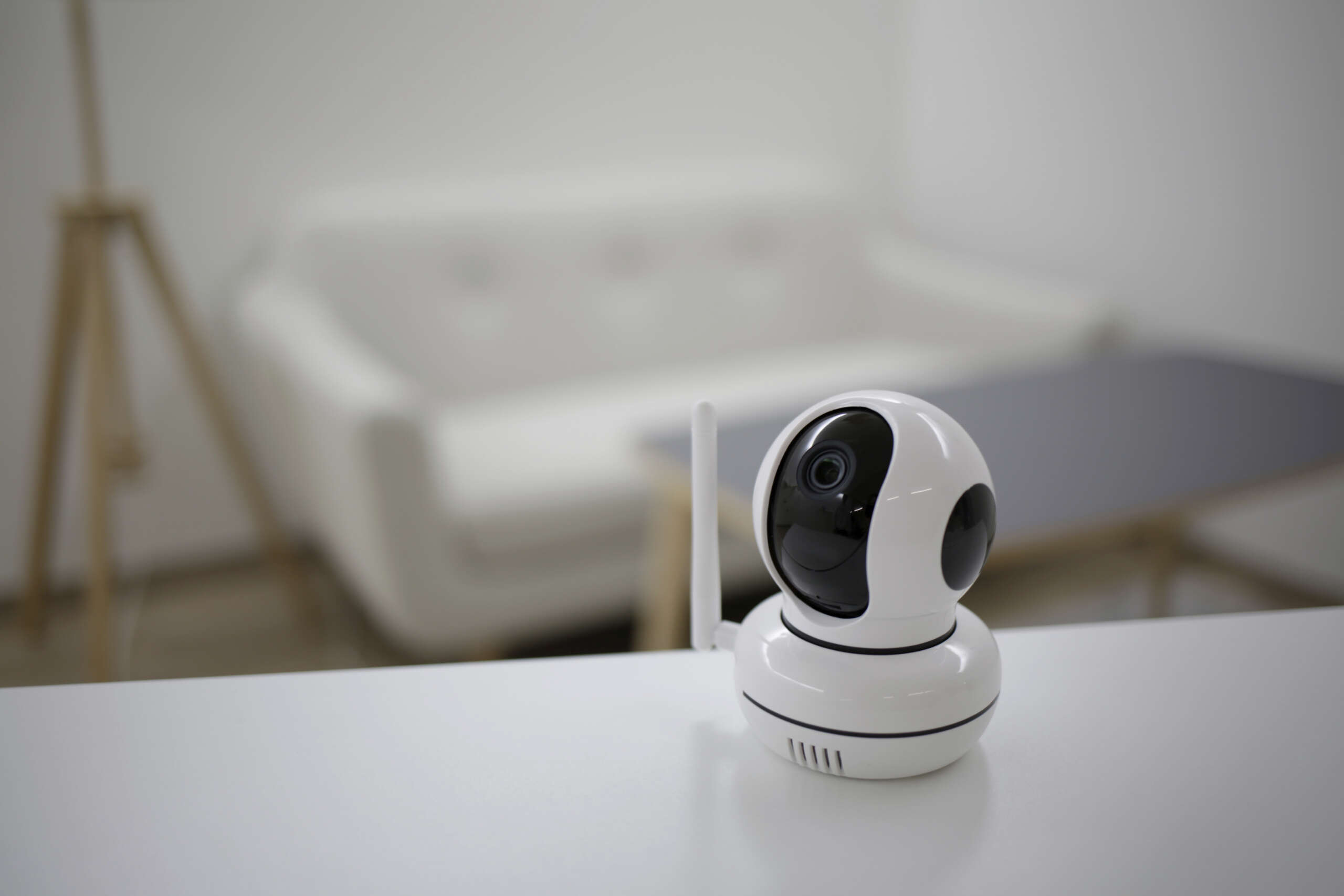 Überwachungskamera IPCam PET