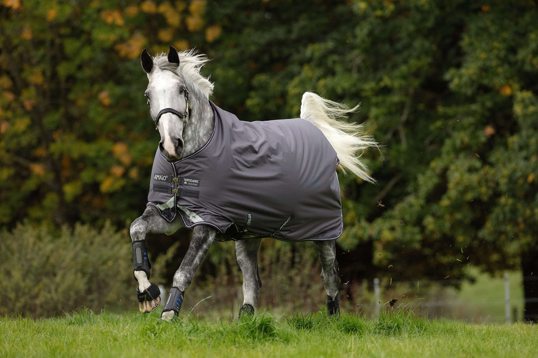 Horseware AMIGO Outdoordecke Bravo 12 0g Turnout Lite