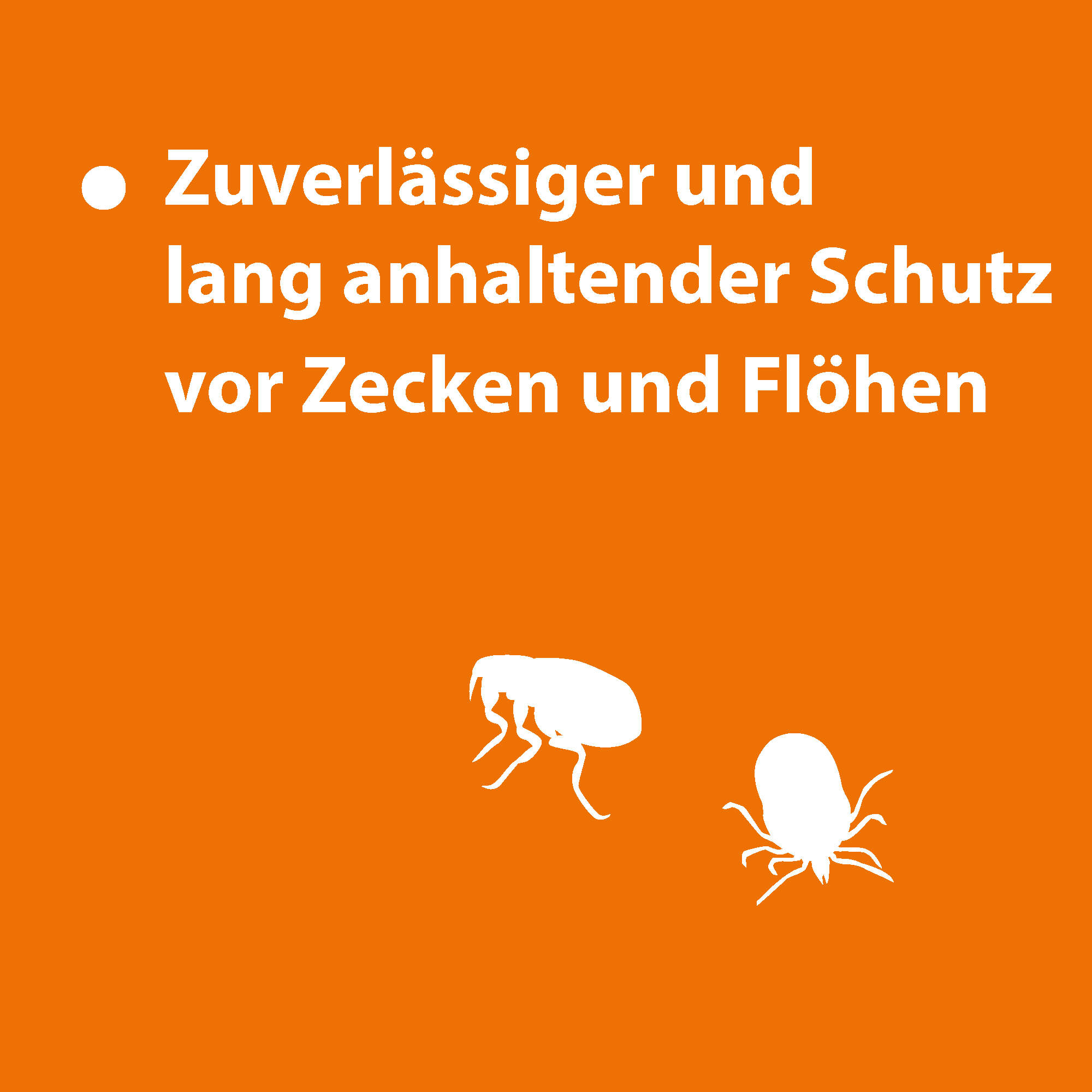 ARDAP Spot-On für große Hunde über 25 kg