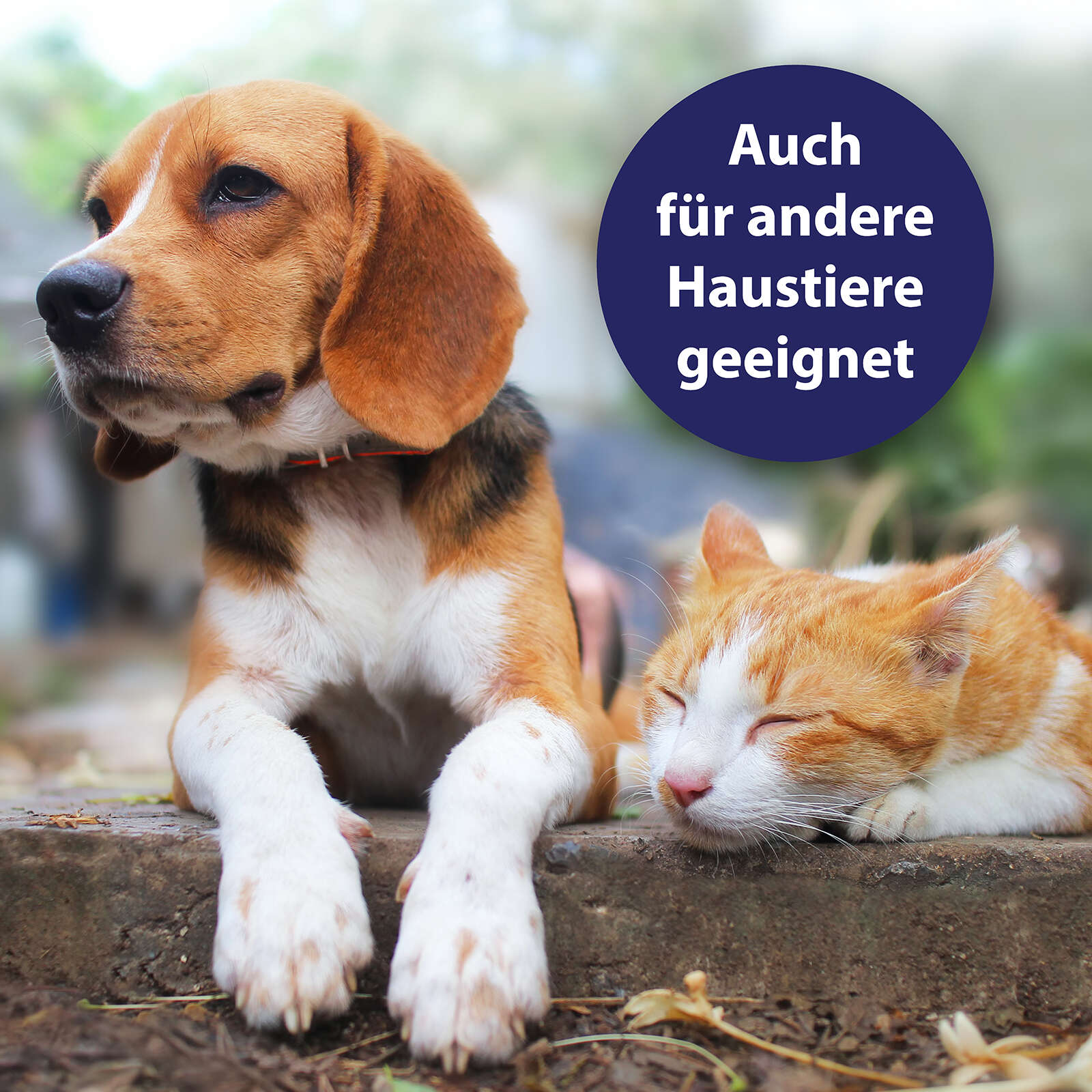 Canosept Hautpflegespray für Hunde 250 ml