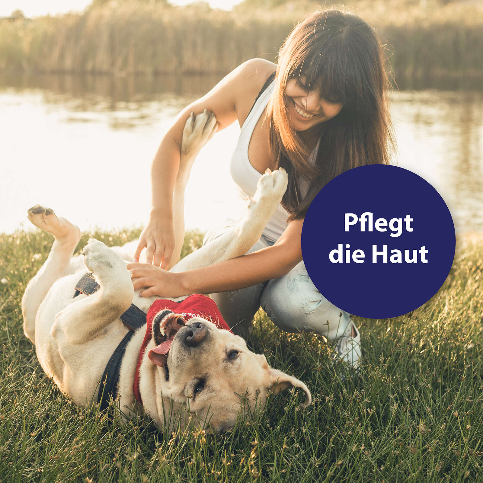 Canosept Hautpflegespray für Hunde 250 ml