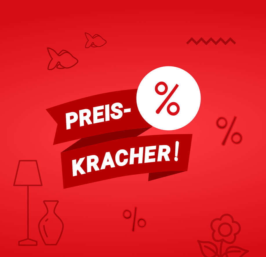 startseite november banner preiskracher