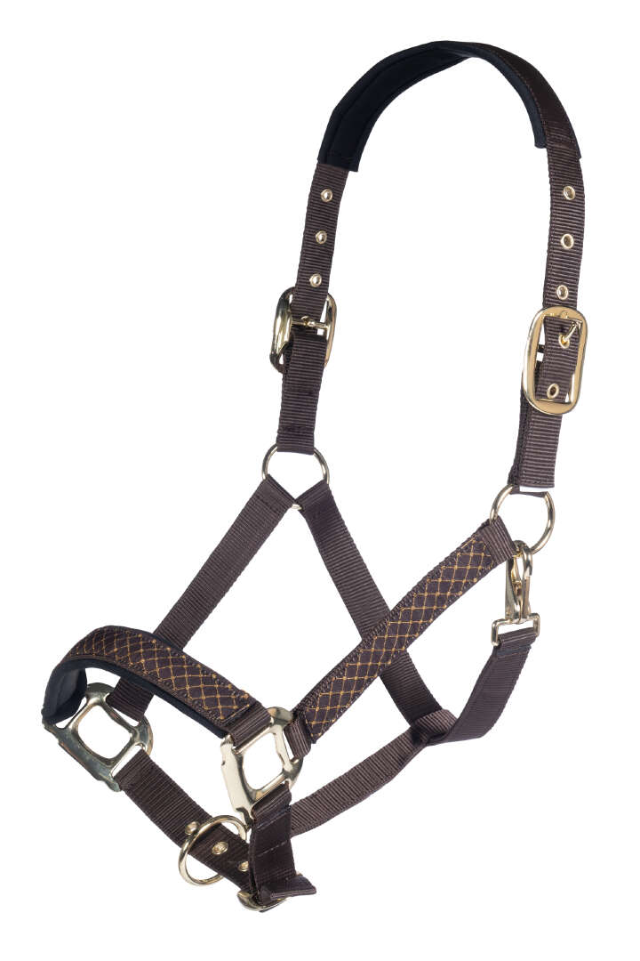 HKM Halfter Stars Economy - Pferdehalfter Aus Polypropylen Mit Polsterung