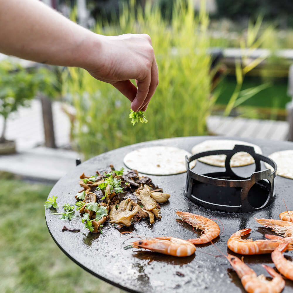 Petromax FEUERHAND Plancha Grillplatte zu Pyron Feuertonne