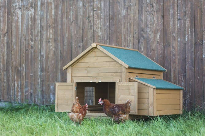 KERBL Kleintierstall für Hühner oder Kaninchen