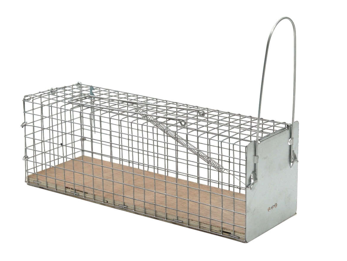 PROTECT HOME Lebendfalle Ratte Drahtkäfig
