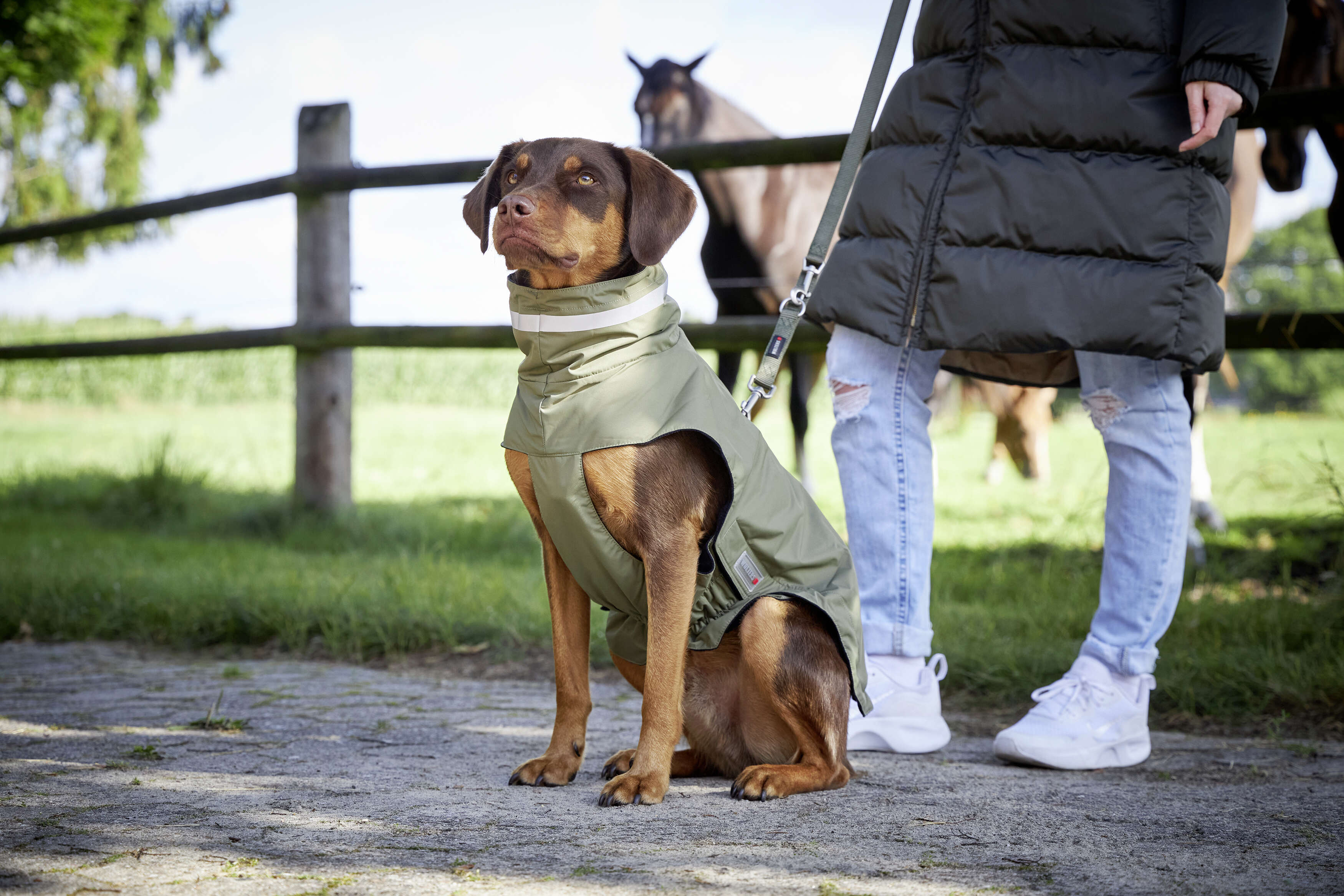 WOLTERS Hundemantel Modern Classic