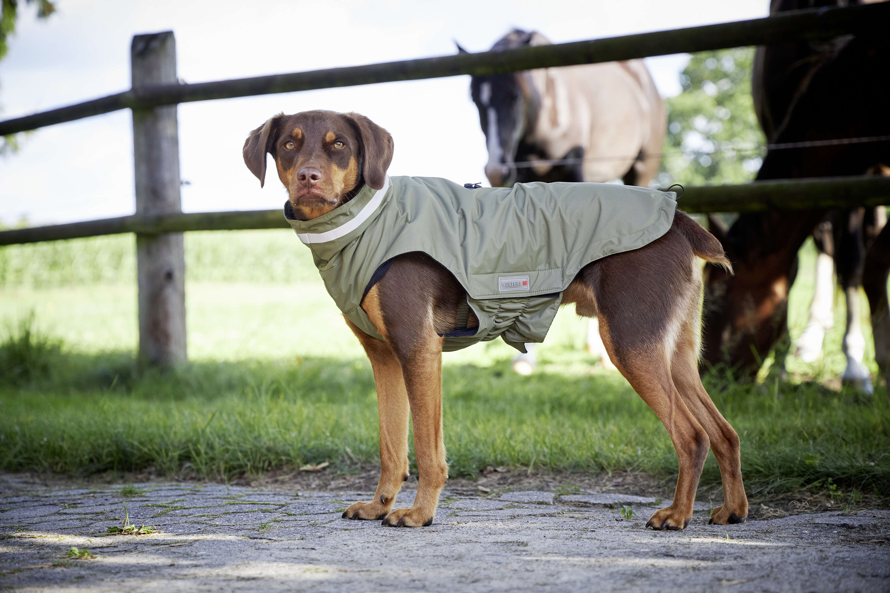 WOLTERS Hundemantel Modern Classic