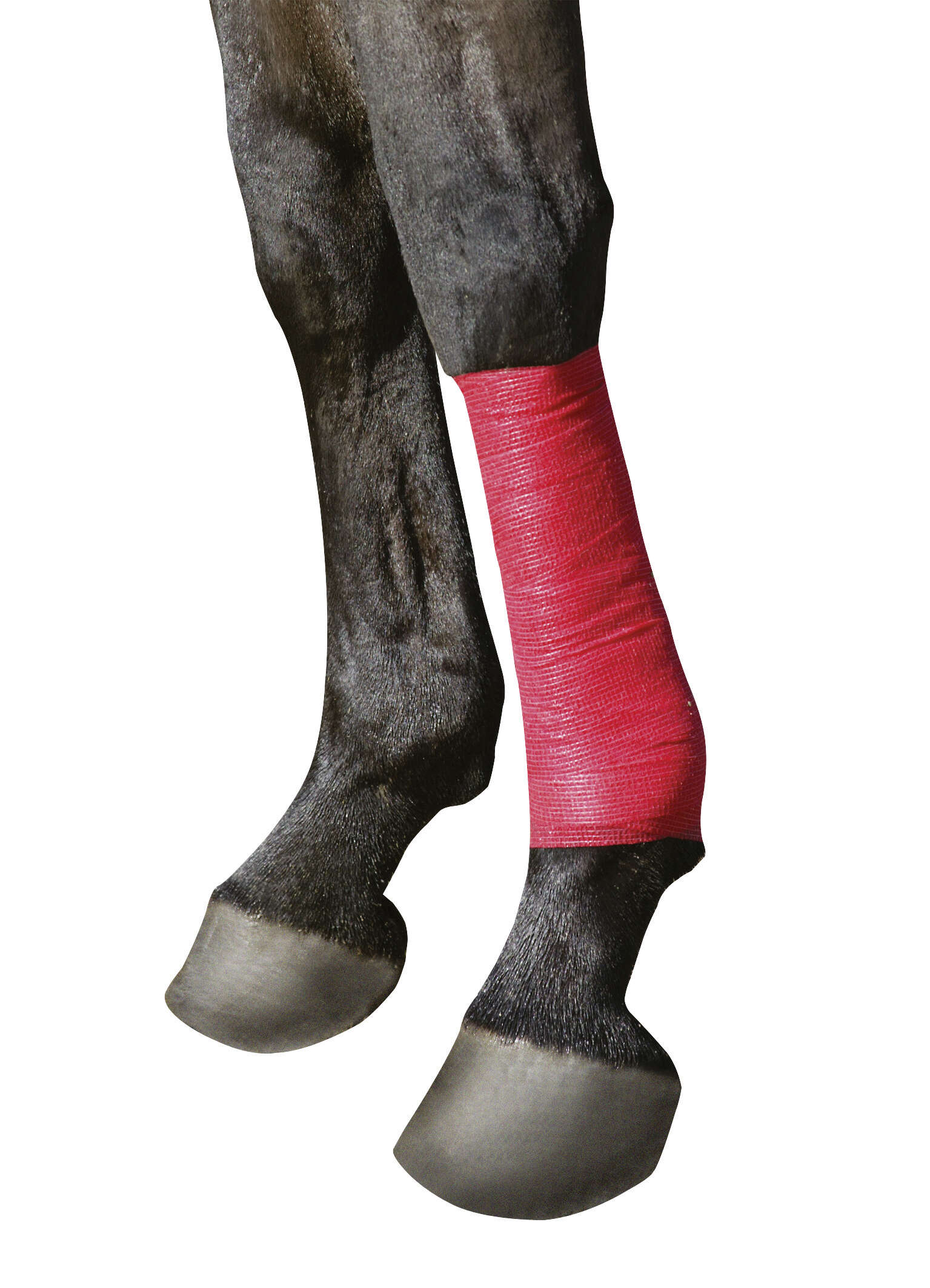 KERBL Equilastic Bandage