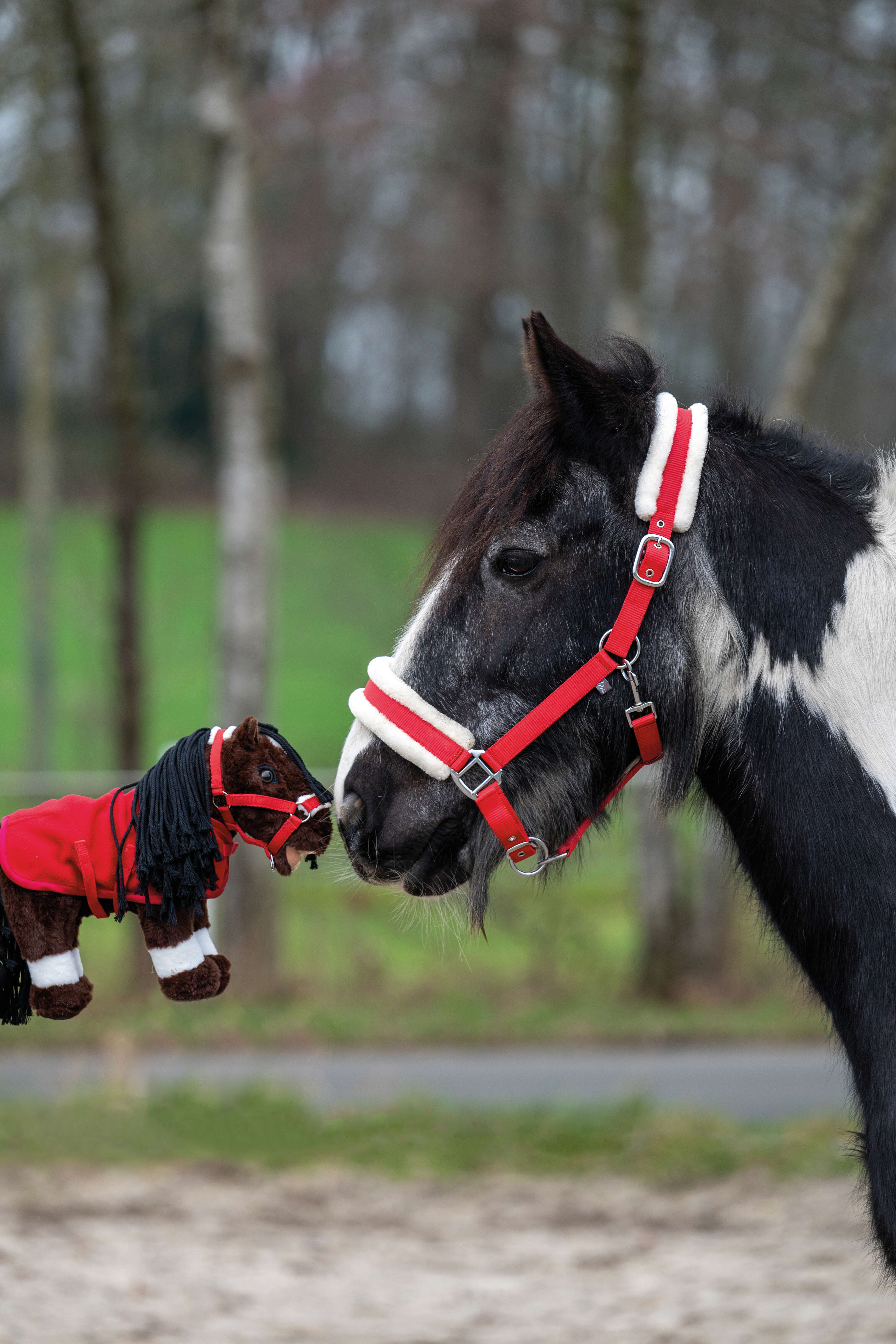 HKM KIDS Cuddle Pony