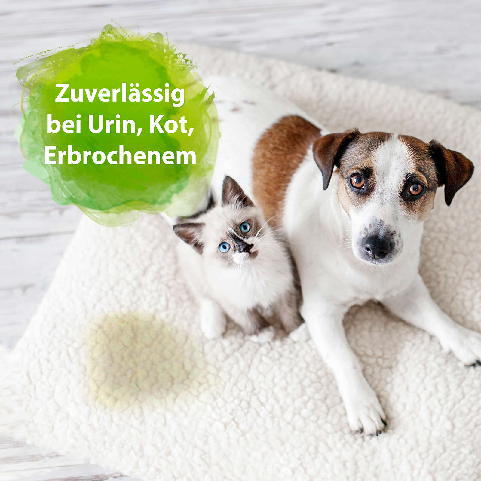 BACTADOR Geruchs- und Fleckenentferner Konzentrat