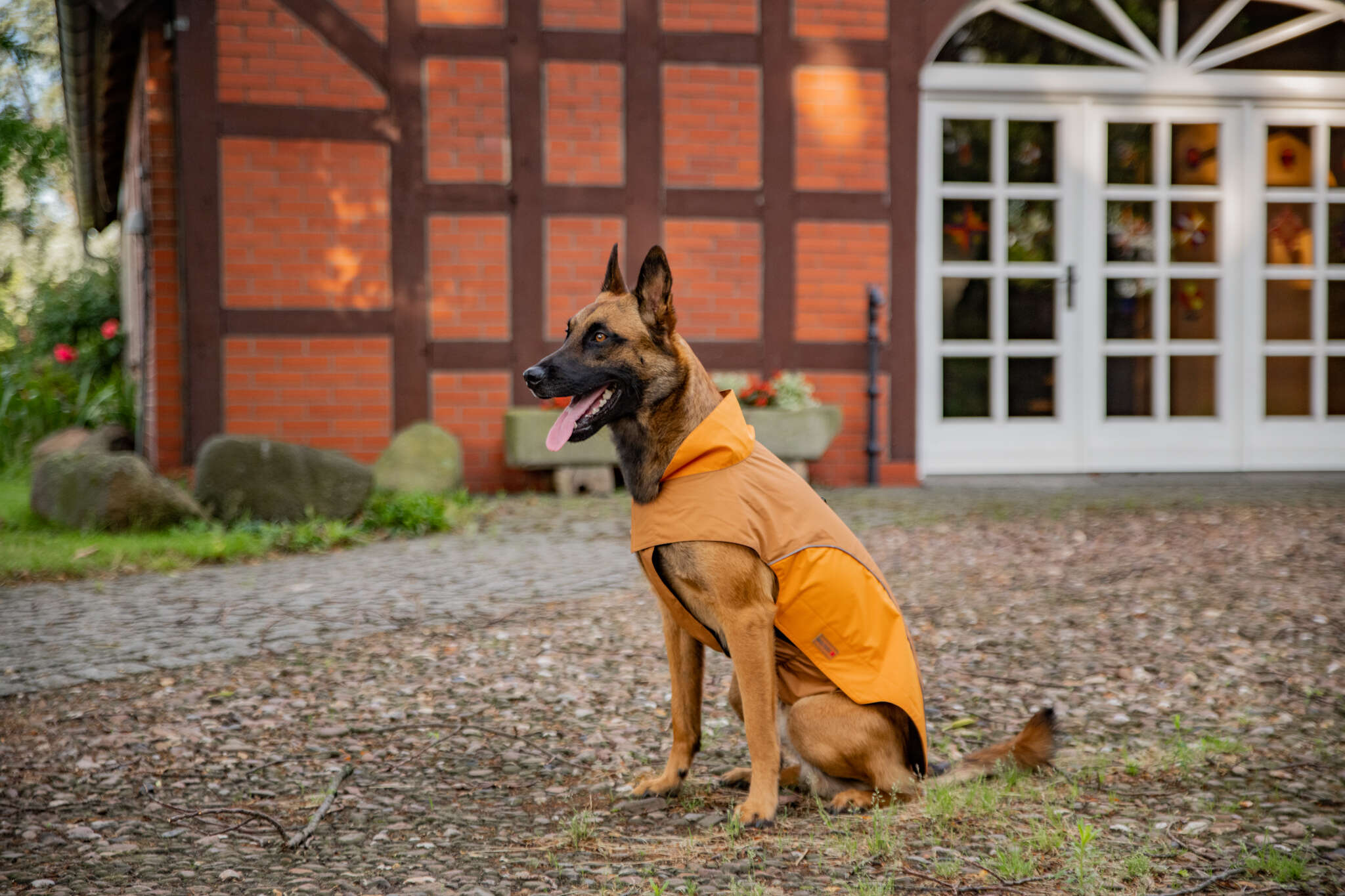 WOLTERS Easy Rain Hundejacke
