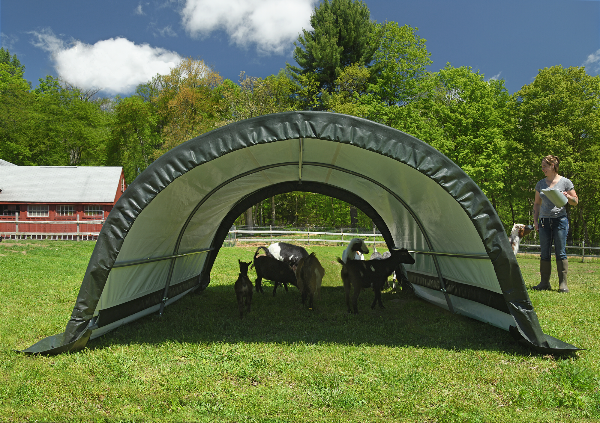 ShelterLogic Weidezelt