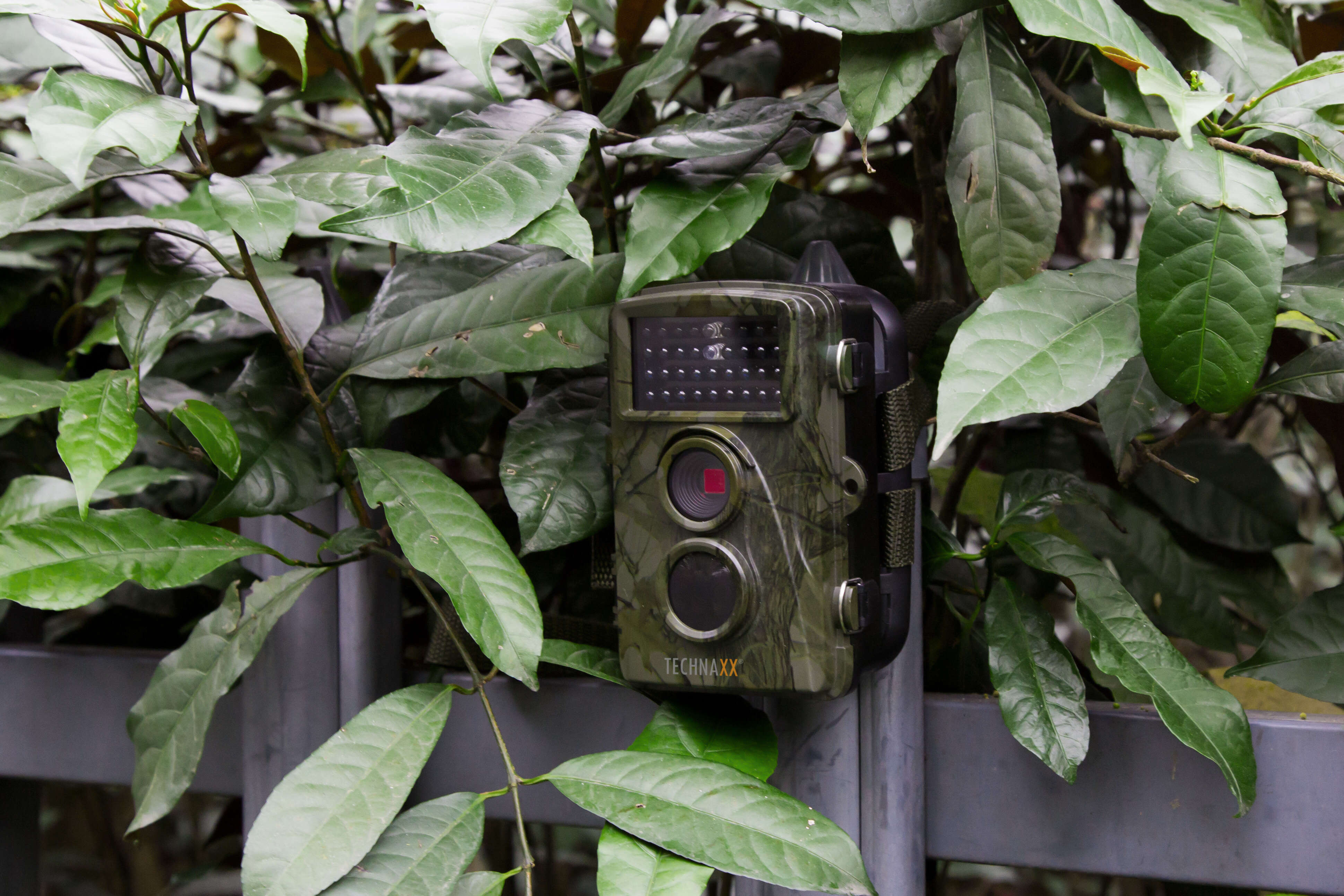 TECHNAXX Nature Wild Cam TX-69