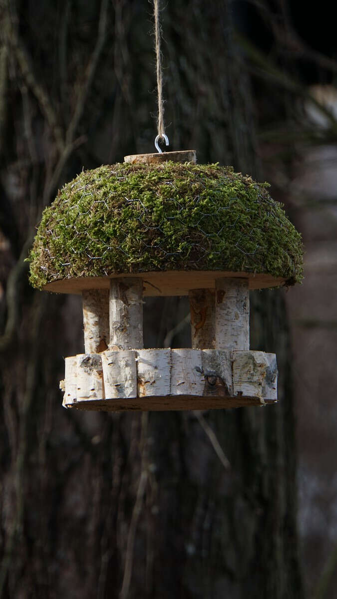 Vogelhaus mit Moosdach