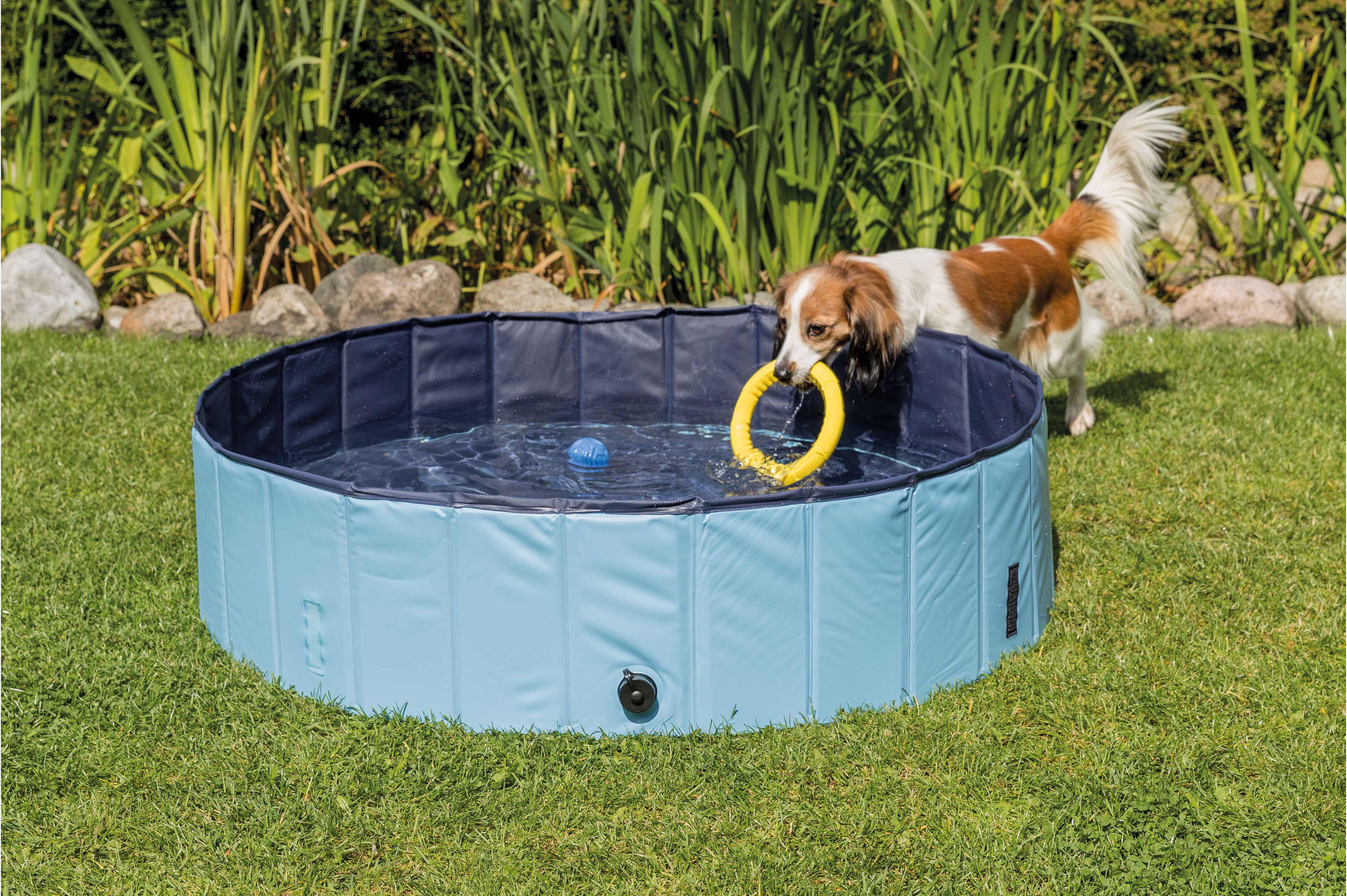 TRIXIE Hundepool