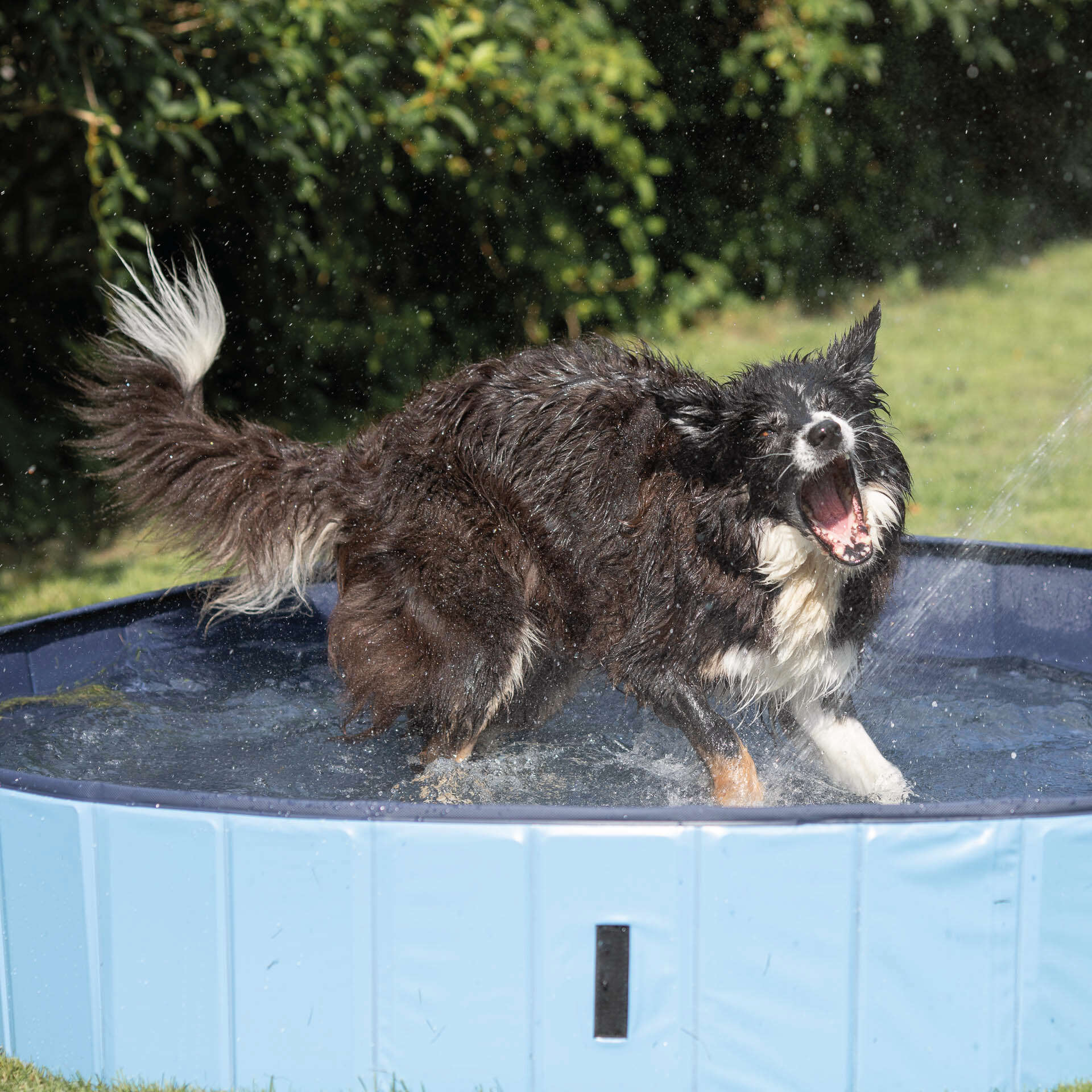 TRIXIE Hundepool