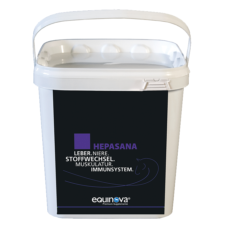 equinova Hepasana
