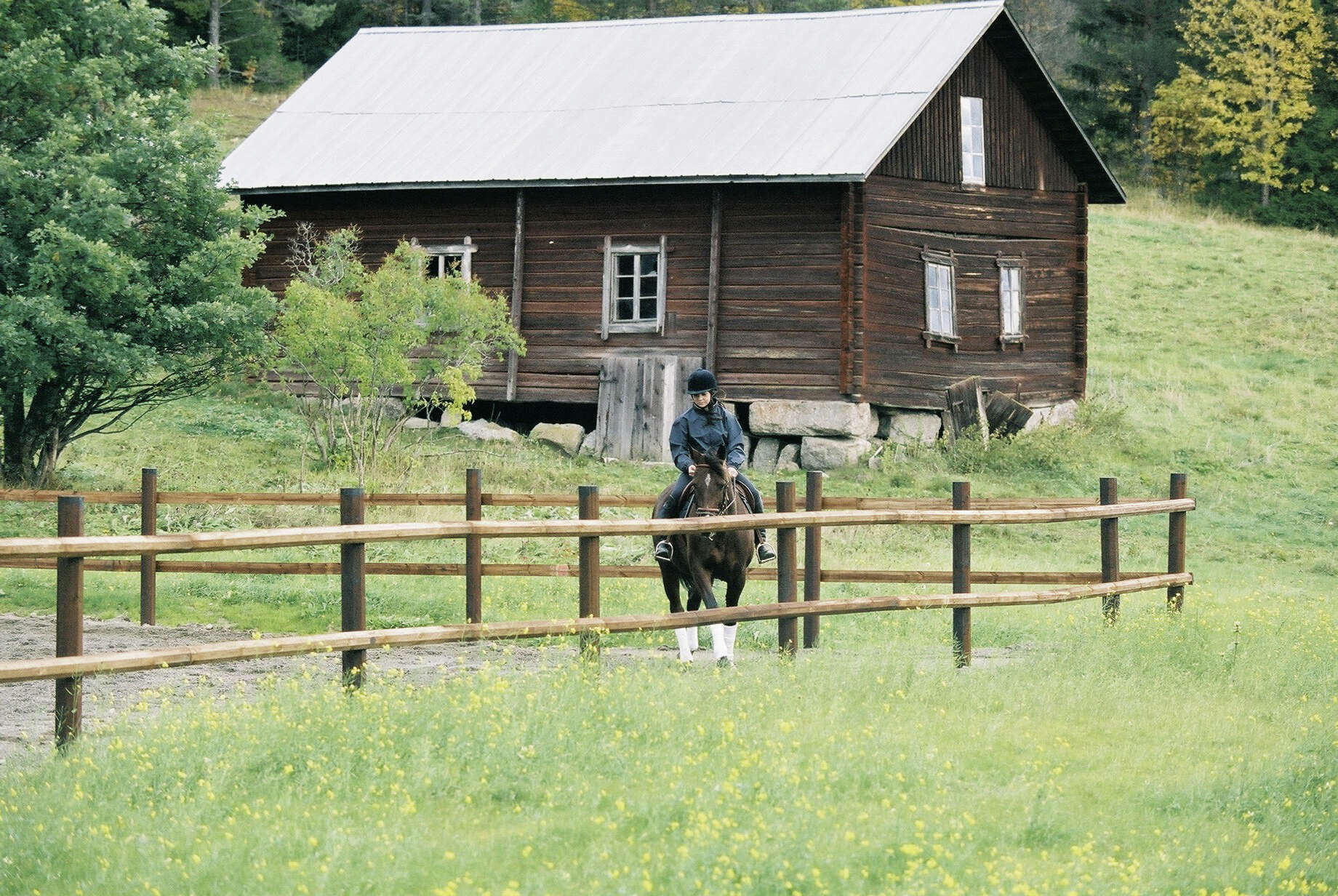 AKO OctoWood Querstange für Paddock